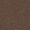 Chestnut