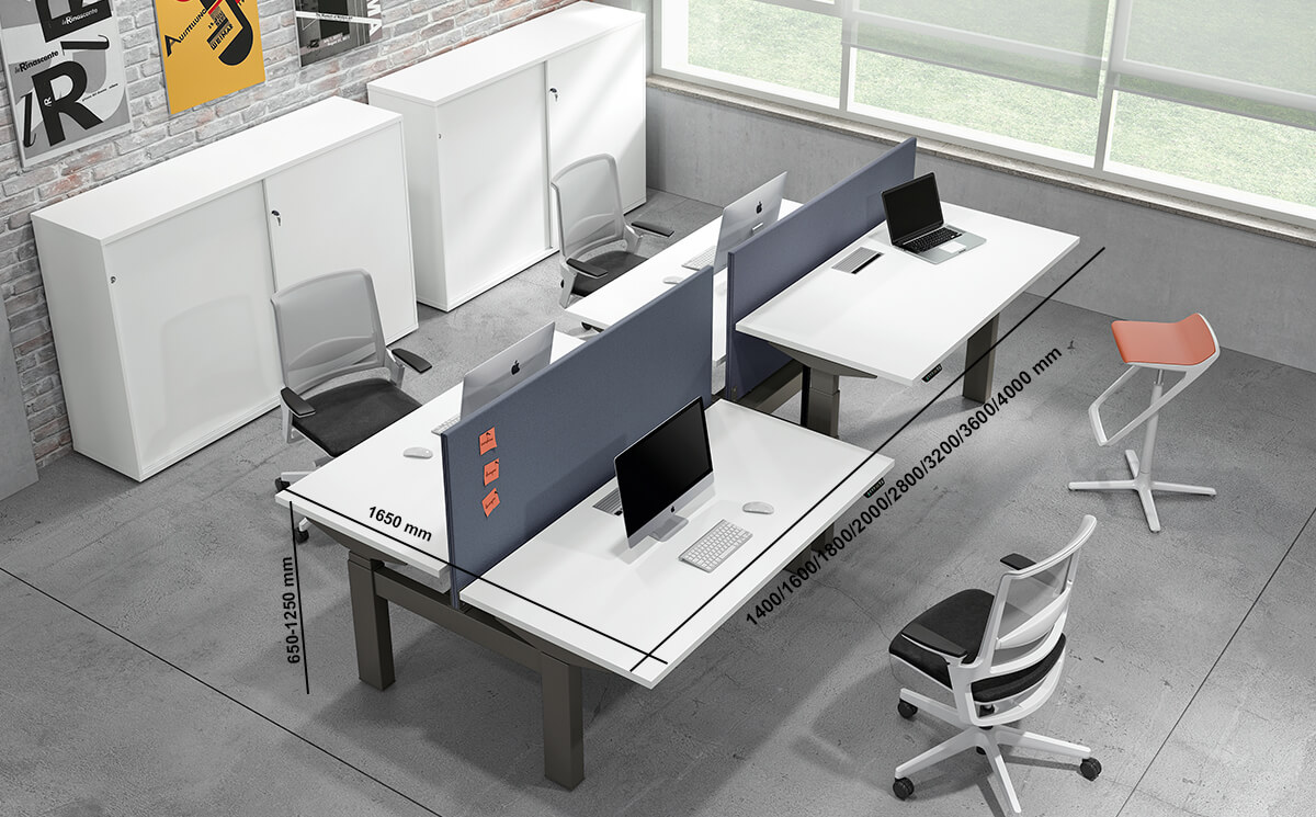 Clariss 3 Back To Back 2 Step Height Adjustable Operational Office Desk With Optional Dividing Screen For 2 & 4 Persons Size Img Clariss 3 Back To Back 2 Step Height Adjustable Operational Office Desk With Optional Dividing Screen For 2 & 4 Persons Size Img