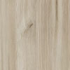 Gray Spruce
