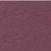 Aubergine