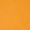 Bright Orange