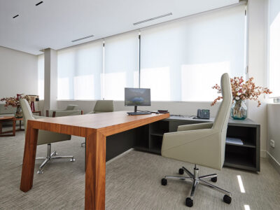 Anna Modern Executive Desk With Credenza Unit