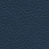 Blue Leather