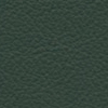 Green Leather