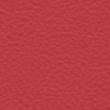 Red Leather