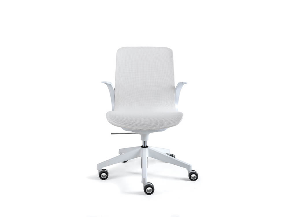 Renato 2 Meduim Backrest Hight Adjustable Executive Chair 01
