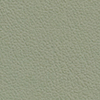 D 426