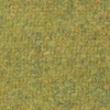 D 507