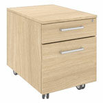 L418 x D600 x H547 (1 Drawer and 1 Filing Drawer On Castors)