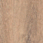 Forest Oak