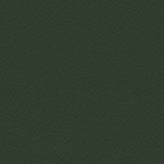 V 29 Ciemny Zielony