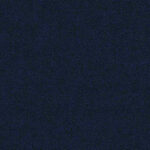 Ak010 Web
