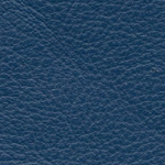 Ln 6644