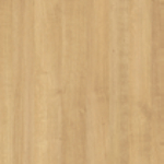 Oak Mvt